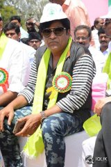 Celebs participating Haritha Haaram Event